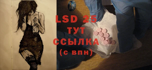 прущие грибы Гусь-Хрустальный