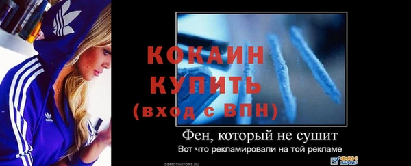 прущие крисы Богданович
