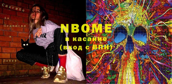шишки Богородицк