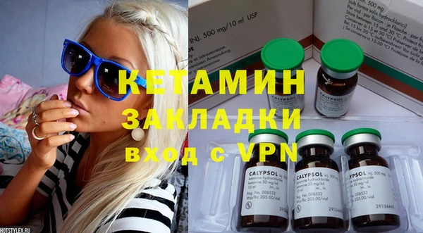 шишки Богородицк