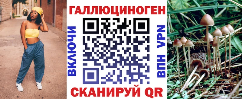 Галлюциногенные грибы Magic Shrooms  Михайлов 