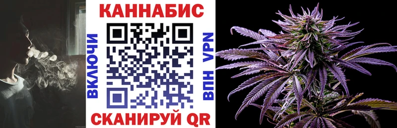 Конопля OG Kush  Михайлов 